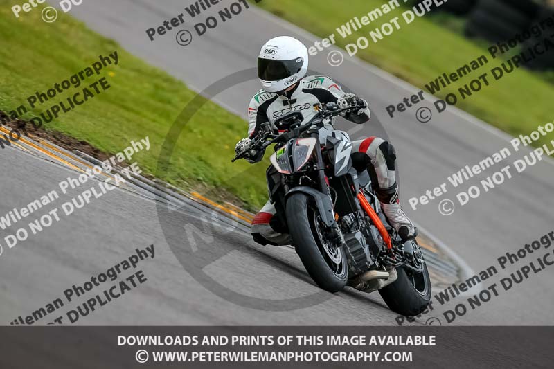 PJ Motorsport 2019;anglesey no limits trackday;anglesey photographs;anglesey trackday photographs;enduro digital images;event digital images;eventdigitalimages;no limits trackdays;peter wileman photography;racing digital images;trac mon;trackday digital images;trackday photos;ty croes